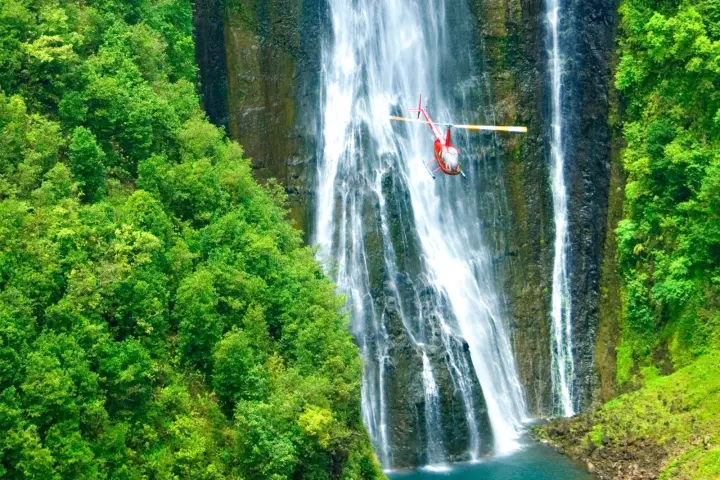 a waterfall in a forest